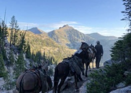 Bighorn Outfitters